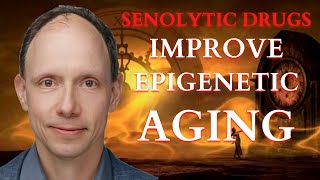 The Link Between Epigenetic Clocks for Aging and Senescence.| Steve Horvath & Sweet Fruit