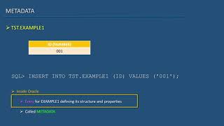 30 Oracle SQL Developer Tutorial For Beginners 29 DBA Info MetaData