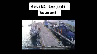 Detik detik tsunami dahsyat