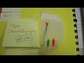 simple paper chromatography