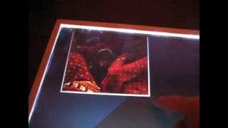 Multitouch Flickr Tests