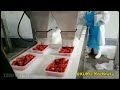 crayfish conveyor weighing and cartoning system xumu machinery конвейер packingmachine conveyors