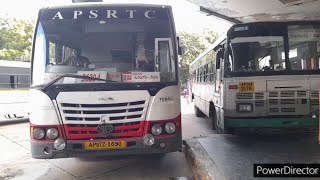 Tenali To Tirupati Apsrtc Super Luxury Bus Details in Telugu @TrainBusinfo