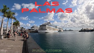 4 Liners Arrive in Las Palmas