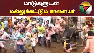 Avaniyapuram Jallikattu 2022 - அவனியாபுரம் ஜல்லிக்கட்டு: மாடுகளுடன் மல்லுக்கட்டும் காளையர்