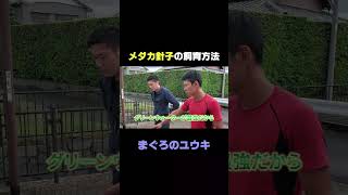 メダカ針子の育て方　highlight