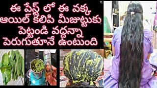 How to get long Hair? //జుట్టు మందంగా,ఒత్తుగా, ఊడిన జుట్టు తిరిగి రావాలంటే🤔//pavani passions