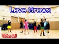 Love Grows/ Tutorial 스텝설명/ Beginner/ KLSF 대한생활체육연합회 SH_Linedance