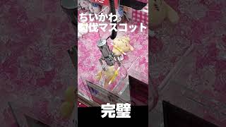 【ちいかわクレーンゲーム】ちいかわ討伐マスコット‼️確率無視⁉️これが出来たら一発やんか‼️