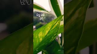 ମାନେ ପଡେ ସେଇ ପିଲା ଦିନ #song #music #dont_forget_to_like_and_subscribe