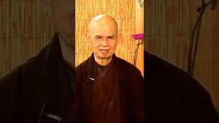 Understand Your Suffering, Understand the Suffering of Others | Thich Nhat Hanh | #shorts