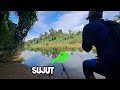 Saat joran di tarik ikan | penghuni sungai serau #wms-195