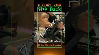 #50【背中トレ】ローイングなのかい？ロウイングなのかい？【中級トレーニー不動産鑑定士】毎日投稿 筋トレ初心者 エニタイムフィットネス フィットプレイス ゴールドジム ゴールドジム #shorts