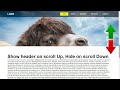Hide Header on Scroll Down Show on Scroll Up | Html CSS & Javascript