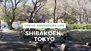 Walking Around Tokyo (Shibakoen) 芝公園