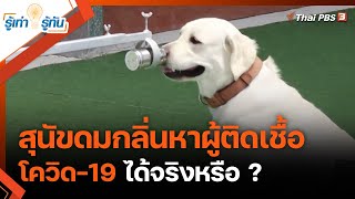 สุนัขดมกลิ่นหาผู้ติดเชื้อโควิด-19 ได้จริงหรือ ? : รู้เท่ารู้ทัน (20 พ.ค. 64)