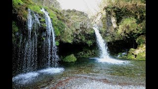 JG☆☆☆4K 静岡 猪之頭湧水 Shizuoka,Inokashira Springs