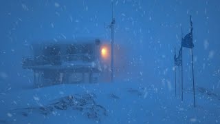 Blizzard Night Sounds for Relax | Heavy Snowstorm & Howling Wind for Deep Sleep & Meditation