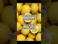 ЛИМОН в нишевой парфюмерии. Сочные яркие бодрящие ароматы на любой вкус 🍋 парфюмерия ниша духи