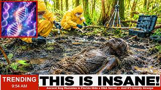The Ancient American Swamp Burial Ritual That Preserved Human Brains for 8,000 Years