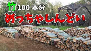 【量産体制】丸1日かけて竹炭用の竹を100本切ってみた！ #竹炭11本目