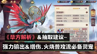 《三国志幻想大陆》毕方解析~增伤输出神宠。火烧普攻流必备！