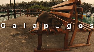 First Impressions of the Galapagos – Cinematic Vlog