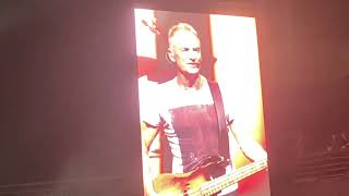 Sting - Fields Of Gold (Live in Chile 21.02.2025)