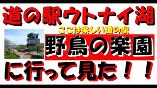 北海道苫小牧市にある「道の駅ウトナイ湖」！日本全国で確認されてる野鳥の約半分が確認される野鳥が集まる楽園！食べ物もイベントも最高！特に最高は西村駅長さんかな～