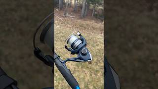 Shimano Catana on a slx Rod #fishing #shimano #canada #algorithm #slx #bass #fyp #spinningreel