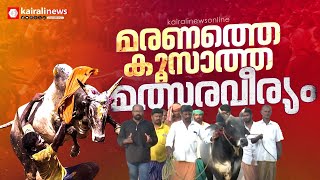 എന്തുകൊണ്ട് മരണം ഒരു പ്രശ്‌നമാകുന്നില്ല ?; തമിഴരുടെ പാരമ്പര്യം വിളിച്ചോതുന്ന മനുഷ്യ - മൃഗ പോര്