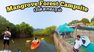 Mangrove Forest 😍 Eco Campsite 💥 பிச்சாவரம் சதுப்புநிலக் காடுகள் ❤️Adventure Water Sports Activities