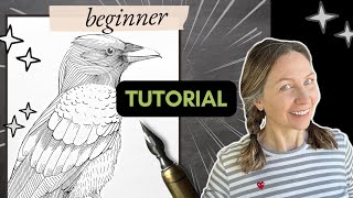 Draw this raven with a dip pen (beginner tutorial)