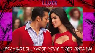 Katrina Kaif Bollywood Latest Movie Coming Soon Tiger Zinda Hai Release Date & Cast | Song | Poster