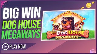 DOAR SOCIU PRINDE ATATEA BIG WIN-URI LA DOG HOUSE MEGAWAYS! #Aparate #Pacanele #Slots #bigwin #live