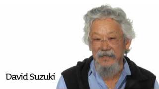 Cause An Effect: David Suzuki