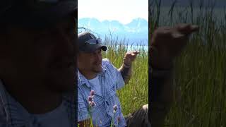 Bigfoot Encounters From Alaska #Bigfoot #sasquatch #cryptidcreature #Bigfootreports #alaska #Nuyakuk