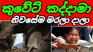 කුවේට් කද්දාමා ව නිවසේදීම ඇයි මැරුවේ? 🥹🙏🏻|Arabic with sha