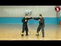 kukishin ryu okuden. bujinkan ninjatraining