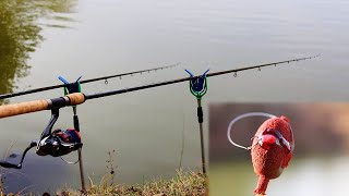 ЗИМЕН РИБОЛОВ на ШАРАНИ с МЕТОД ФИДЕР - METHOD FEEDER FISHING IN WINTER