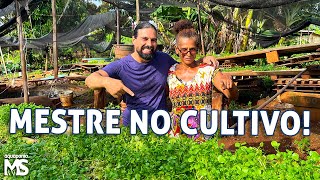 Aprendendo com a Dona Antônia - Cultivo na prática!