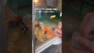 伊豆シャボテン動物公園に念願のマーモットに会いに来たぞっ！！