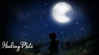 10시간🎵잠잘때 듣는음악⭐️잔잔한 피아노 음악과 물소리🎵불면증에 좋은 음악😴잘때듣기좋은노래🎵 10시간 수면음악 by 힐링메이트