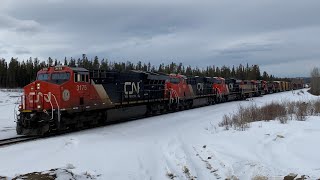 A45951 02 - CN 3175S @ CN Wildhay (Grande Cache Sub, Wildhay, AB)