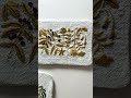 刺繍 マカベアリス 花の刺繍 ショート動画