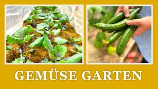 #40 Gartenrundgang im Selbstversorger🌿👩‍🌾 Gemüsegarten Ende Mai