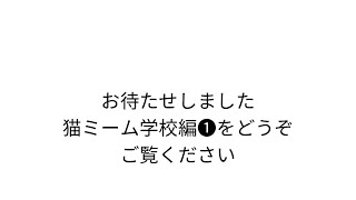 猫ミーム学校編❶