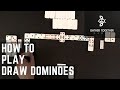 How To Play Dominoes (Draw)