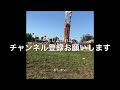 ちゃちゃ丸くん公園デビュー maltipoo 马耳他贵宾犬 말티즈 푸들　my adorable maltipoo toy poodle maltese puppy