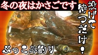 冬の福浦、八景島は根魚が激アツ！ぶっこみで美味しい魚が釣れまくり〜🎵